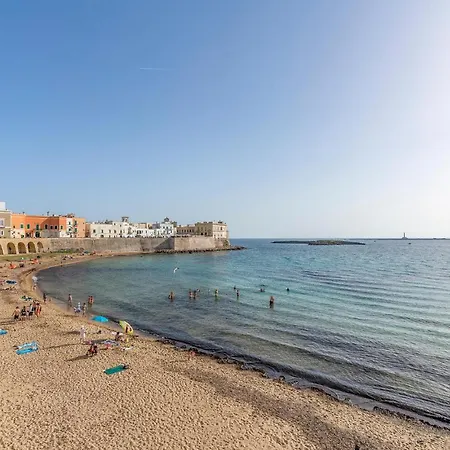 Beautiful In Gallipoli 巴尼西卢卡